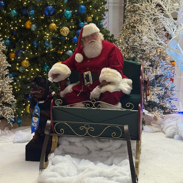 Santa and other characters available for event scheduling through Total Events DFW